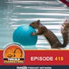 The Water Polo-Playing Squirrels Episode (410)