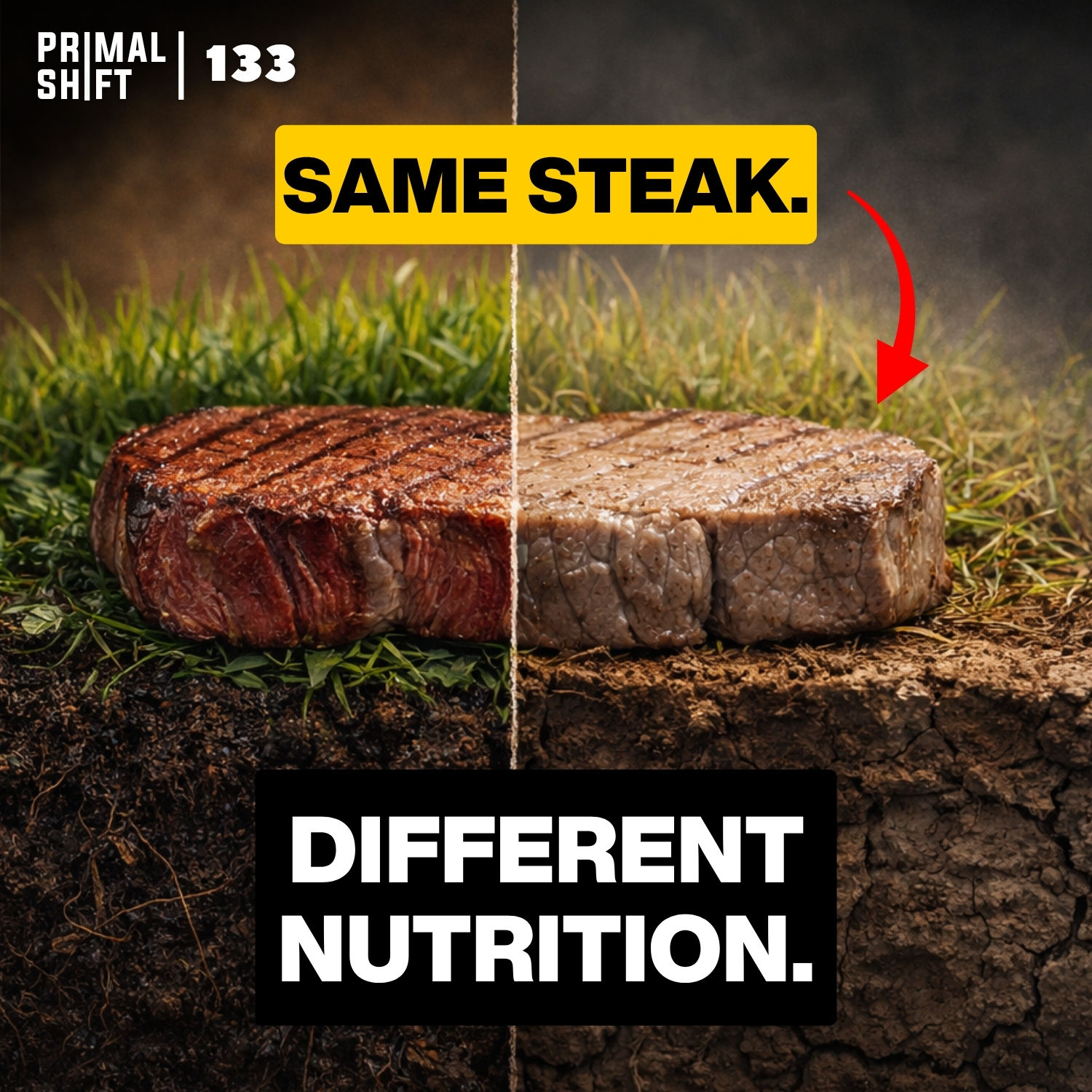 133: Your Food Isn't as Nutritious as You Think