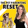 Our Journey To Feeding Our Dogs A Raw Food Diet | The Pet Parenting Reset, episode 15