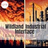 147 - Wildfire Industrial Interface and risk assessment with Eulàlia Planas