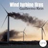 150 - Wind Turbine Fires with Guillermo Rein
