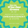 Embarrassment Eraser: Mindfulness Meditation for Overcoming Embarrassment and Shame (101)