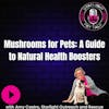 Mushrooms for Pets: A Guide to Natural Health Boosters