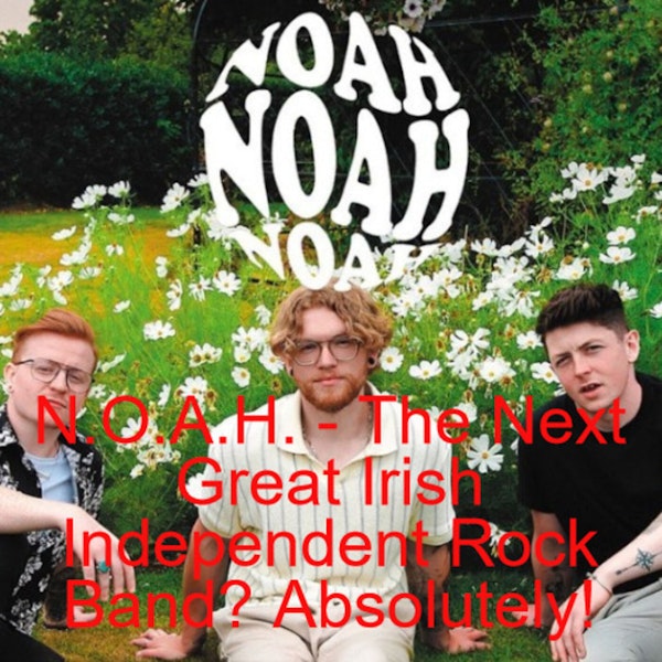N.O.A.H. - The Next Great Irish Independent Rock Band? Absolutely!