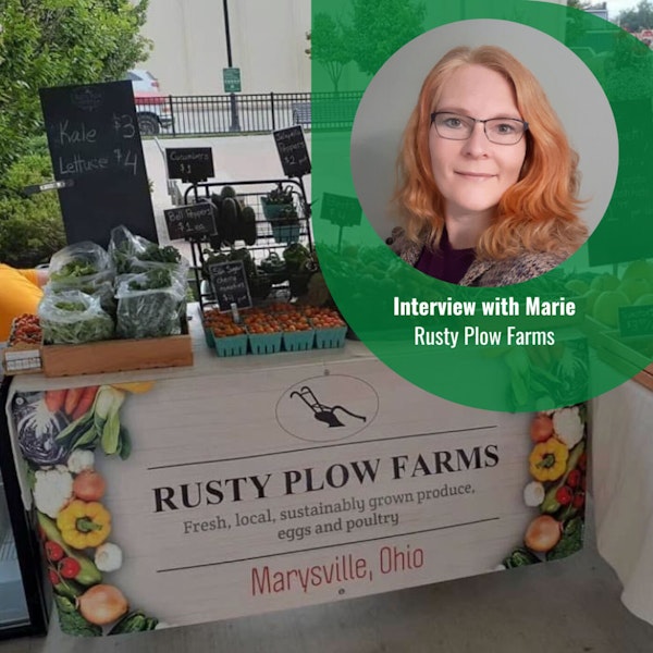 Meat Shortages - Now What? Interview with Marie of Rusty Plow Farms. Part 1 of 3 Part Series