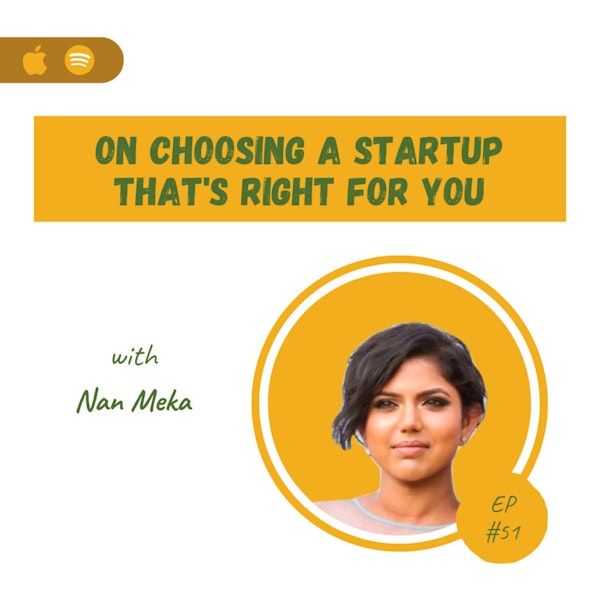 Nan Meka | On Choosing a Startup That's Right For You