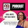 Soul-mate; Not Sole Mate. Polyamory 101: Sydney #Fat_Troublemaker