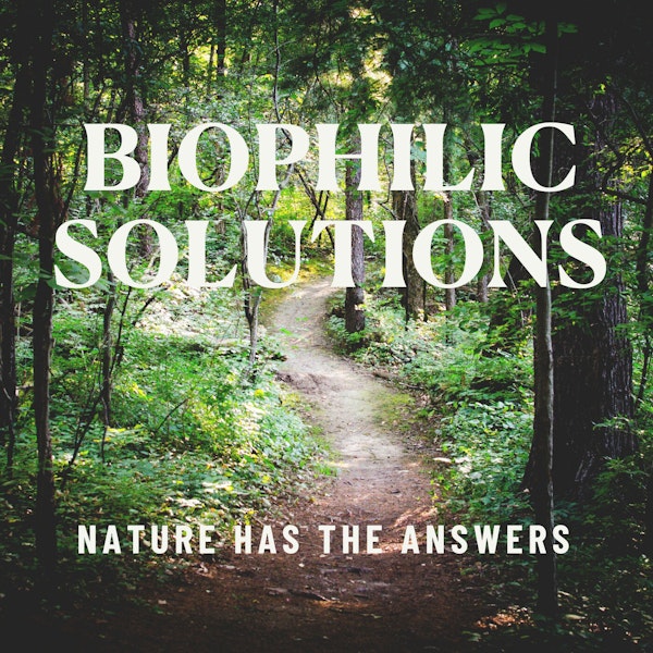 Introducing Season 3 of Biophilic Solutions