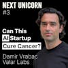 Can This AI Startup Cure Cancer? | Damir Vrabac, Valar Labs | E3