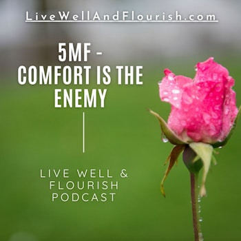 Comfort is the enemy (Five-Minute Flourishing)