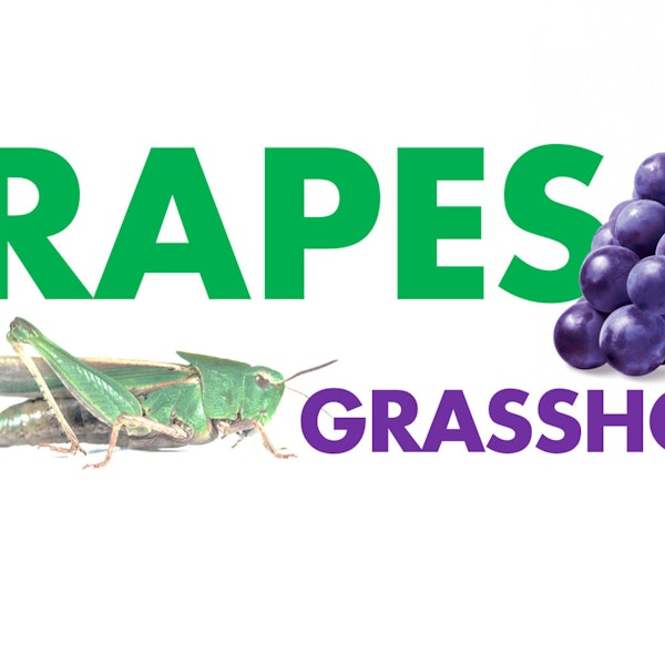 Grapes and Grasshoppers