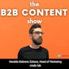 Advantages of being a small content marketing team w/ Haralds Garbrans Zukovs