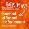 063 - Why do we need a handbook of fire and the environment with Brian Meacham and Margaret McNamee