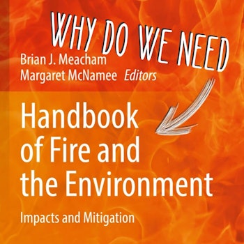 063 - Why do we need a handbook of fire and the environment with Brian Meacham and Margaret McNamee
