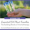 63: Essential Oil Plant Families: A Guide to Aromatherapy's Building Blocks