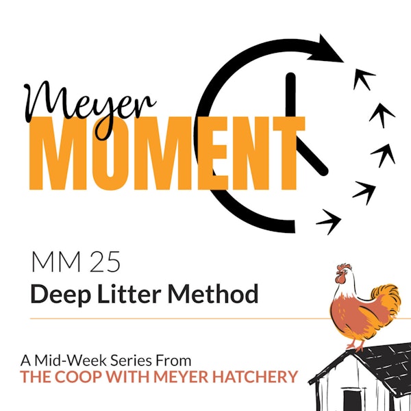 Meyer Moment: Deep Litter Method