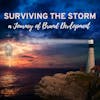Surviving the Storm: A Journey of Brand Development 156