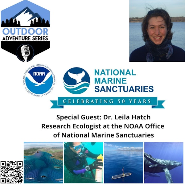 Dr. Leila Hatch, Research Ecologist at the NOAA Office of National Marine Sanctuaries