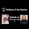 Episode image for Wisdom of the Mystics: Baba Hardev Singh Ji