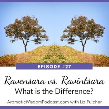 AWP 027: Ravensara vs. Ravintsara: What is the Difference?
