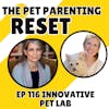 How Can I Test My Dogs Gut? - with Innovative Pet Lab