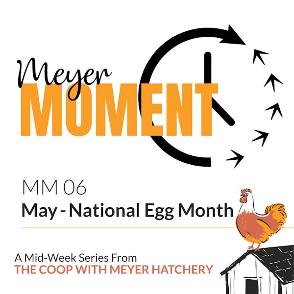 Meyer Moment: May - National Egg Month!