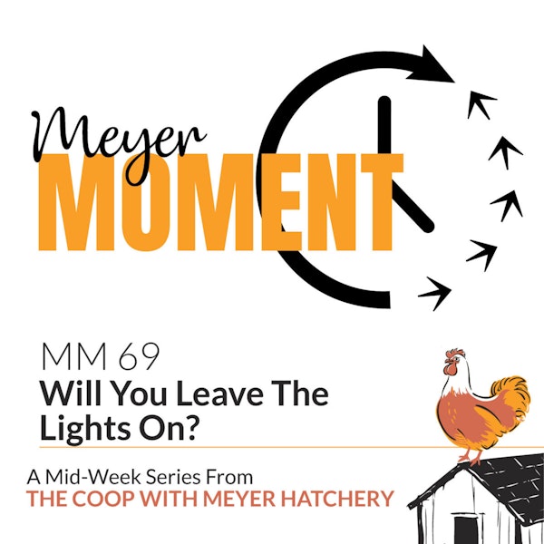 Meyer Moment: Will You Leave The Lights On?