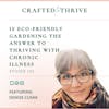 Is Eco-Friendly Gardening the  Answer to Thriving with Chronic Illness with Denise Cusak