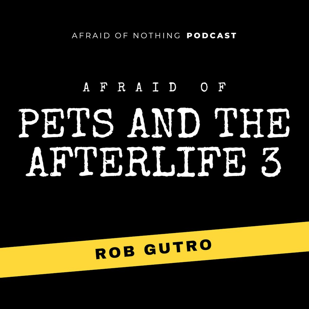 Afraid of Pets and the Afterlife 3