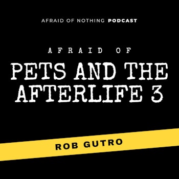 Afraid of Pets and the Afterlife 3