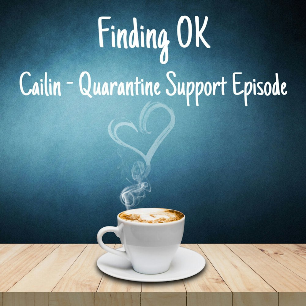 Cailin - Quarantine Support