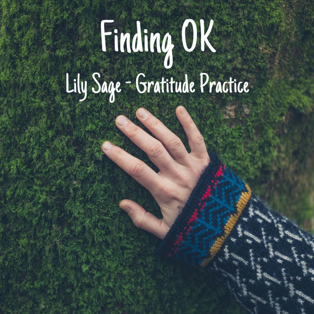 Lily Sage - Gratitude Practice