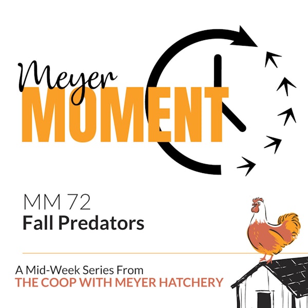 Meyer Moment: Fall Predators