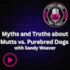 Myths and Truths about Mutts vs. Purebred Dogs