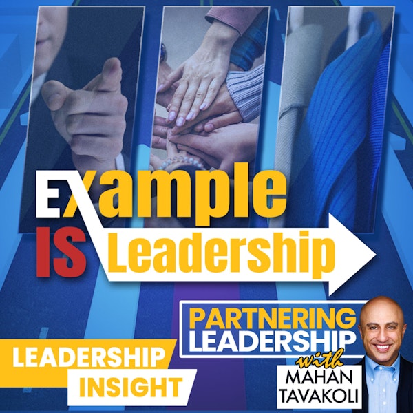 Example IS leadership | Mahan Tavakoli Partnering Leadership Insight