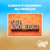 LSP 141: Elements of Discernment: Self-Knowledge