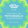 Retelling the History of Psychedelic Mushrooms: From Ancient Rituals to Modern Healing (83)