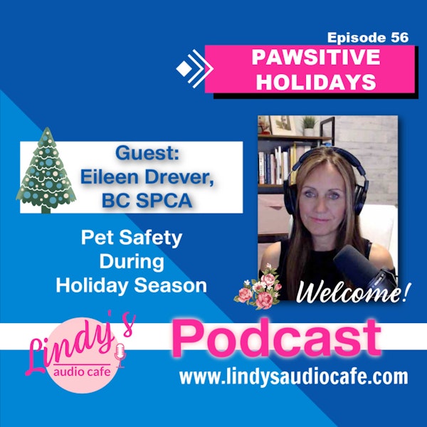 56 - Pawsitive Holidays with Guest Eileen Drever, BC SPCA
