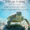 Karen Beasley Sea Turtle Rescue & Rehabilitation Center