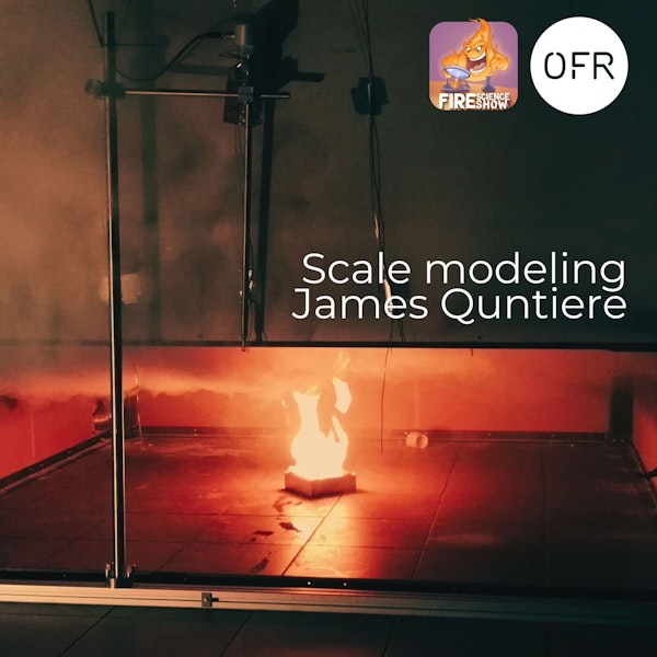 103 - The Science and Art of Scale Modeling with James Quintiere