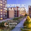The High Line, Therme, & Social Infrastructure with Robert Hammond