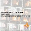029 -Busses, flammability and an unknown force holding good solutions back... with Anja Hofmann-Böllinghaus