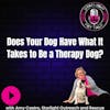 Does Your Dog Have What It Takes to be a Therapy Dog?