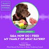 Q&A: How Do I Feed My Family of Meat Eaters? 🌱 Ep. 5