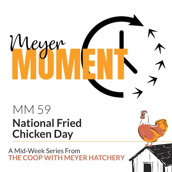 Meyer Moment: National Fried Chicken Day