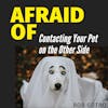 Afraid of Contacting Your Pet on the Other Side