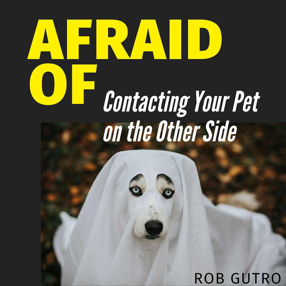 Afraid of Contacting Your Pet on the Other Side