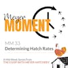 Meyer Moment: Determining Hatch Rates