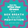 Box Breath & Values Meditation for Hard Moments (99)