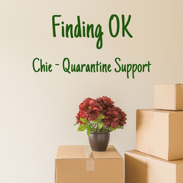 Chie - Quarantine Support